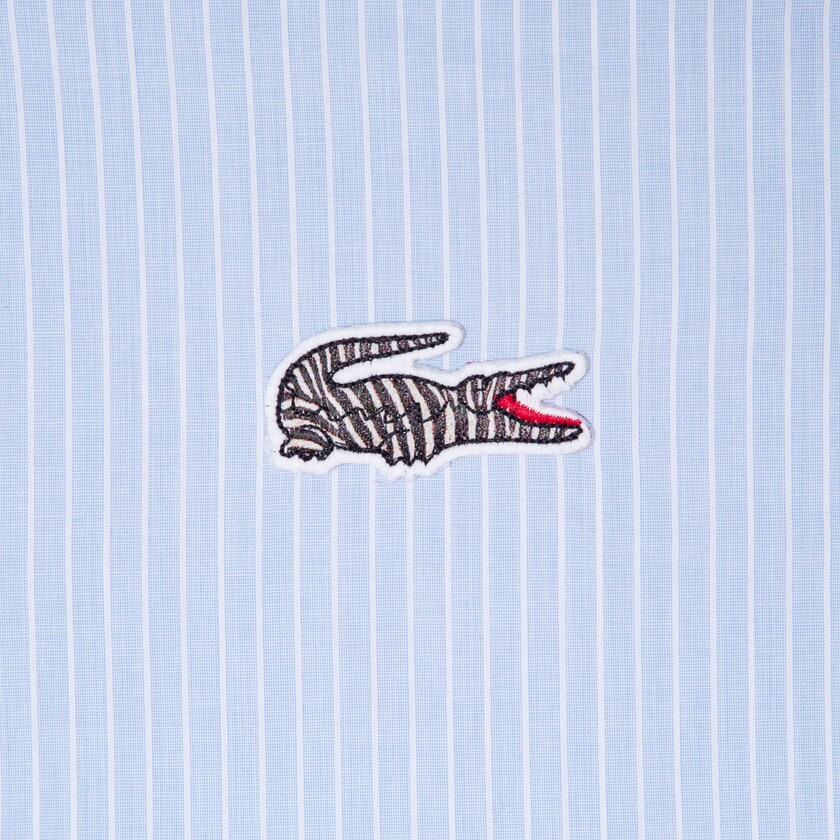 Men's Lacoste Blue / White Shirts x National Geographic Regular Fit Striped Cotton YT6-13931B0