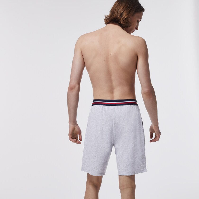 Men's Lacoste Grey Briefs Striped-Waist Long Boxer NA6-12141Y3