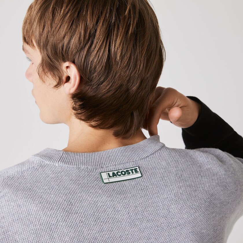 Men's Lacoste Grey / White / Black Sweaters Crew Neck Colorblock Cotton CB0-05020C5