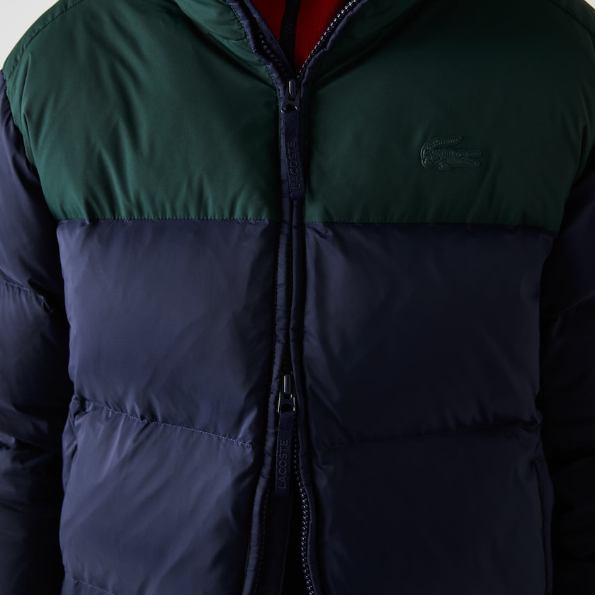 Women's Lacoste Navy Blue / Green Jackets Stand-Up Collar Concealed Hood Colourblock Short GV9-64536T6